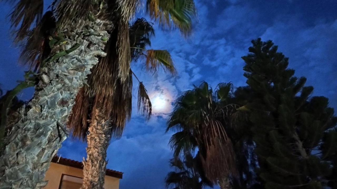Emily Home Parque Holandes Εξωτερικό φωτογραφία